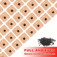 Load image into Gallery viewer, 600-Pieces: Auricular Patch, Massage Press Seeds Patch for Relaxation