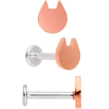 Load image into Gallery viewer, 16G 5/16 Multicolor Internally Threaded Cat Labret Set of 4