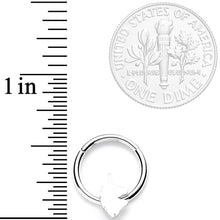 Load image into Gallery viewer, 16G 3/8 Mythical Unicorn Hinged Segment Ring