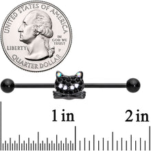 Load image into Gallery viewer, 14G Black Aurora Gem Black Cat Industrial Barbell 38mm