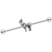 Load image into Gallery viewer, 14G Colorful Drama Llama Industrial Barbell 38mm