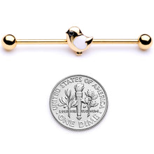 Load image into Gallery viewer, 14G Black Gem Gold Tone Baby Bird Industrial Barbell 38mm