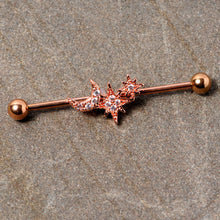 将图片加载到图库查看器,14G Clear CZ Gem Rose Gold Tone Moon Stars Industrial Barbell 38mm