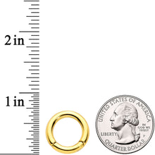 Load image into Gallery viewer, 8G 1/2 Gold Tone PVD Steel Hinged Segment Ring