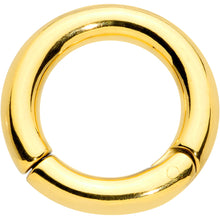将图片加载到图库查看器,6G 9/16 Gold Tone PVD Steel Hinged Segment Ring
