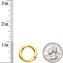 将图片加载到图库查看器,6G 9/16 Gold Tone PVD Steel Hinged Segment Ring