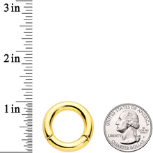 Load image into Gallery viewer, 4G 5/8 Gold Tone PVD Steel Hinged Segment Ring