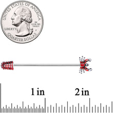 将图片加载到图库查看器,14G Stainless Steel Red Nautical Lobster Industrial Barbell 38mm