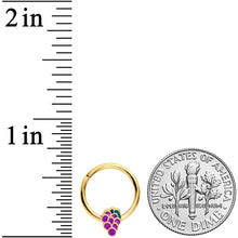 Load image into Gallery viewer, 16G 3/8 Gold Tone Sweet Purple Grapes Hinged Segment Ring