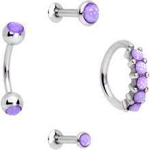Load image into Gallery viewer, 16G Purple Orb Septum Labret Cartilage Tragus Set of 4
