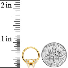将图片加载到图库查看器,16G 3/8 Clear Gem Gold Tone Flying Pigs Hinged Segment Ring
