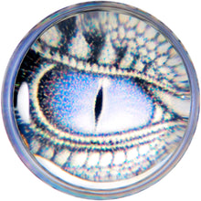 Load image into Gallery viewer, Clear Blue Acrylic Dragons Eye Saddle Plug Set