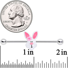 将图片加载到图库查看器,14G Easter Bunny Flower Industrial Barbell 38mm