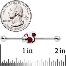 Load image into Gallery viewer, 14G Snacking Squirrel Industrial Barbell 38mm