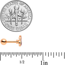 Load image into Gallery viewer, 16G 1/4 Rose Gold Tone Snacking Squirrel Cartilage Tragus Earring