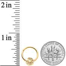 Load image into Gallery viewer, 16G 3/8 Gold Tone Tasty Orange Fruit Hinged Segment Ring