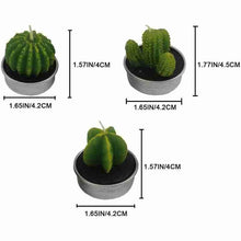 Load image into Gallery viewer, 6Pcs Cactus Candle Cube Candle Simulated Plant Set Paraffin Scented 3D Candle Delicate Succulent Cactus Candles for Valentine's Day Birthday Party Wedding Spa Home Decoration Gifts Home Candle Tea Light Background Props Decor