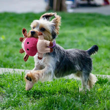 Load image into Gallery viewer, 7-Piece: Puppy Cord Chew Toys