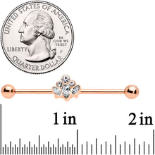 将图片加载到图库查看器,14G Clear Gem Rose Gold Hue Anodized Cluster Industrial Barbell 38mm
