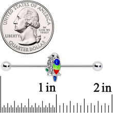 Load image into Gallery viewer, 14G Clear Gem Tropical Parrot Bird Industrial Barbell 38mm