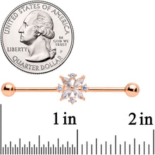Load image into Gallery viewer, 14G Clear CZ Gem Rose Gold Tone Star Burst Industrial Barbell 38mm