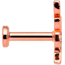 将图片加载到图库查看器,16G 1/4 Clear CZ Gem Rose Gold Tone Leaf Internal Thread Labret