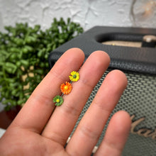 将图片加载到图库查看器,16G 5/16 Orange Daisy Flower Labret Monroe Tragus