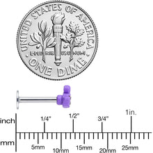 Load image into Gallery viewer, 16G 5/16 Clear Gem Purple Easter Bunny Labret Monroe Tragus
