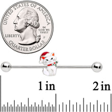 Load image into Gallery viewer, 14G Cat Santa Hat Christmas Industrial Barbell 38mm