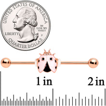 Load image into Gallery viewer, 14G Clear Gem Rose Gold Tone Lil Ladybug Industrial Barbell 38mm