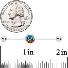 将图片加载到图库查看器,14G Rainbow Tie Dye Peace Sign Industrial Barbell 38mm