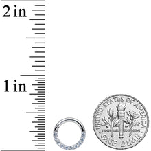 将图片加载到图库查看器,14G 5/16 Clear CZ Gem G23 Titanium Paved Hinged Segment Ring
