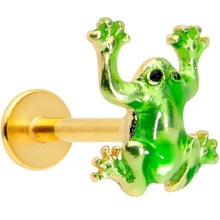 将图片加载到图库查看器,16G 5/16 Gold Tone Green Tree Frog Labret Monroe Tragus