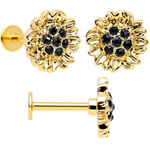 Load image into Gallery viewer, 16G 5/16 Black Gem Gold Tone Bee Hive Labret Tragus Curation Set of 3