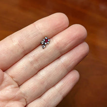 Load image into Gallery viewer, 16G 5/16 Pink Gem Black Fanciful Flower Labret Monroe Tragus