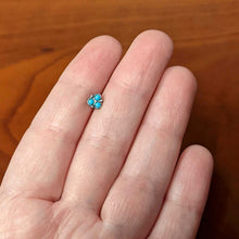 Load image into Gallery viewer, 16G 1/4 Blue Turquoise Orb Trio Labret Monroe Tragus