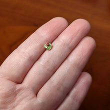 Load image into Gallery viewer, 20G 1/4 Clear Gem Gold Tone Leafy Ladybug Nose Bone