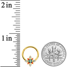 Load image into Gallery viewer, 16G 3/8 Clear CZ Gem Gold Tone Color Crest Hinged Segment Ring
