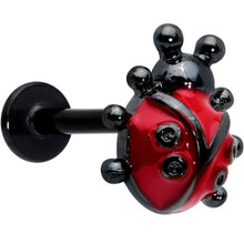 将图片加载到图库查看器,16G 5/16 Black Classic Ladybug Labret Monroe Tragus