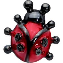 将图片加载到图库查看器,16G 5/16 Black Classic Ladybug Labret Monroe Tragus
