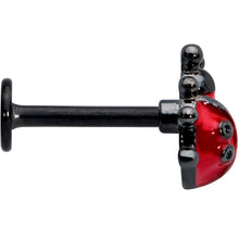 将图片加载到图库查看器,16G 5/16 Black Classic Ladybug Labret Monroe Tragus