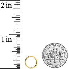 Load image into Gallery viewer, 18G 5/16 Gold Tone PVD Grade 23 Titanium Bendable Hoop Ring
