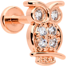 Load image into Gallery viewer, 16G 1/4 Clear CZ Gem Rosy Hue Owl Internal Thread Labret Tragus