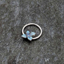 Load image into Gallery viewer, 16G 3/8 Glamour Butterfly Hinged Segment Ring