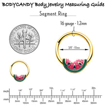 Load image into Gallery viewer, 16G 3/8 Gold Tone Watermelon Bite Hinged Segment Ring