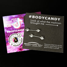 Load image into Gallery viewer, 14G 9/16 White Faux Opal Bee Beauty Insect Barbell Nipple Ring Set