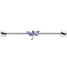 将图片加载到图库查看器,14G Purple Gem Simple Stylized Dragonfly Industrial Barbell 38mm