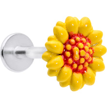 Load image into Gallery viewer, 16G 5/16 Happy Sunflower Yellow Labret Monroe Tragus