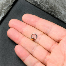 Load image into Gallery viewer, 16G 3/8 Autumn Acorn Orange Brown Hinged Segment Ring
