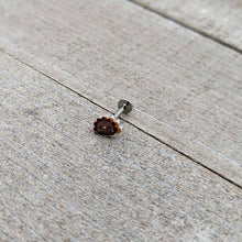 将图片加载到图库查看器,16G 5/16 Sweet Tiny Turkey Thanksgiving Labret Monroe Tragus